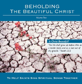 Beholding the Beautiful Christ